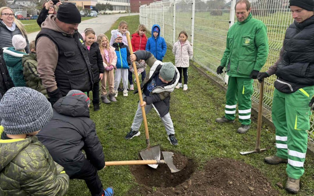 Novi projekt u III. osnovnoj školi Varaždin – Sadnja drveća