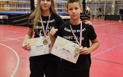 Braća Dumbović – zlatni ponos naše škole!