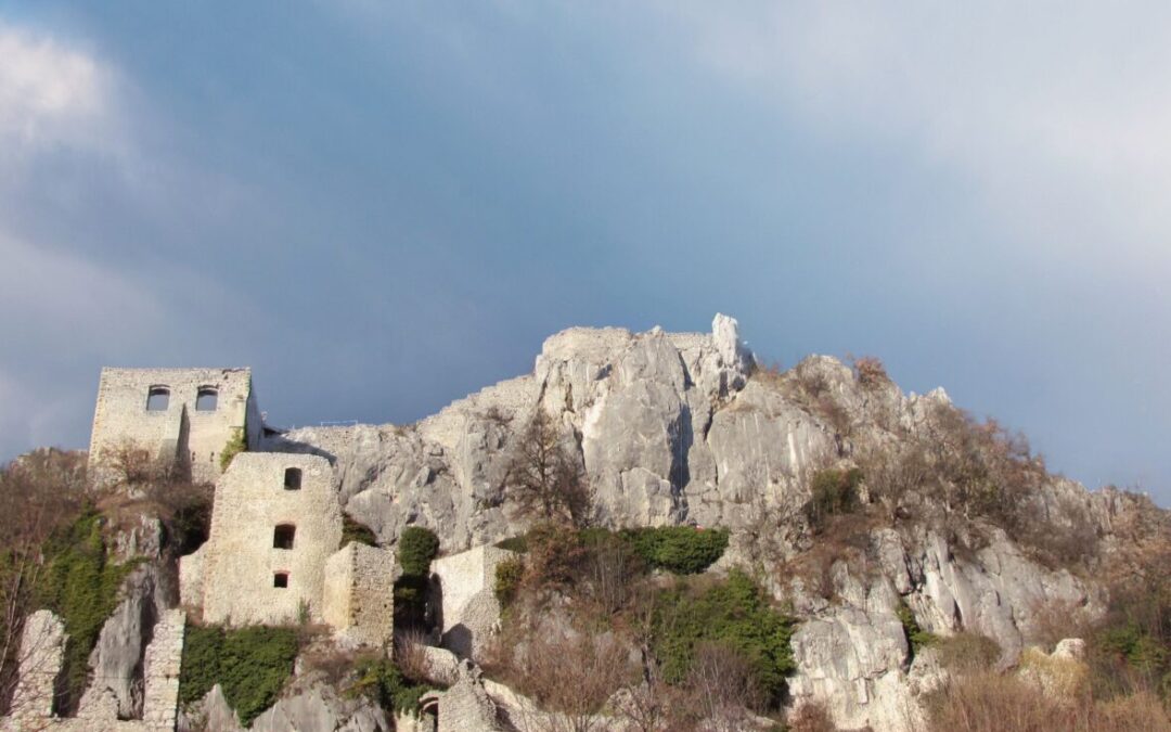Terenska nastava na Kalniku