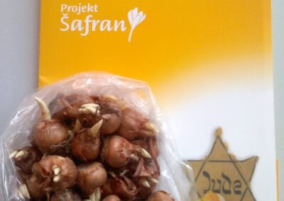 Projekt „Šafran“