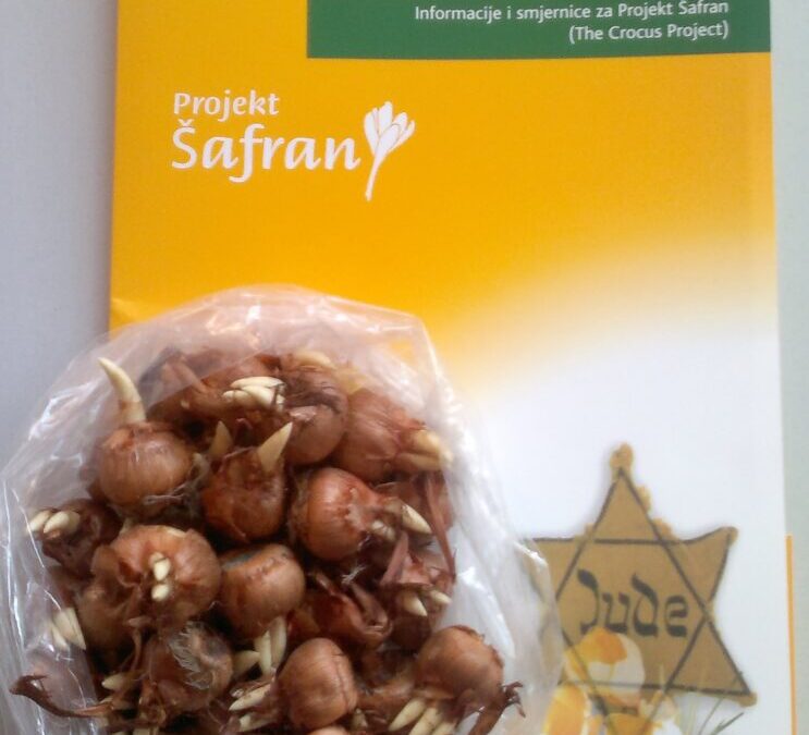 Projekt „Šafran”
