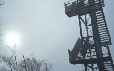 Planinarski izlet na Vukovoj