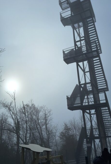 Planinarski izlet na Vukovoj